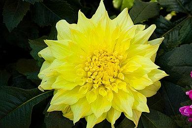 国夫阿力终于登场 《热血少女2》发布首支预告片